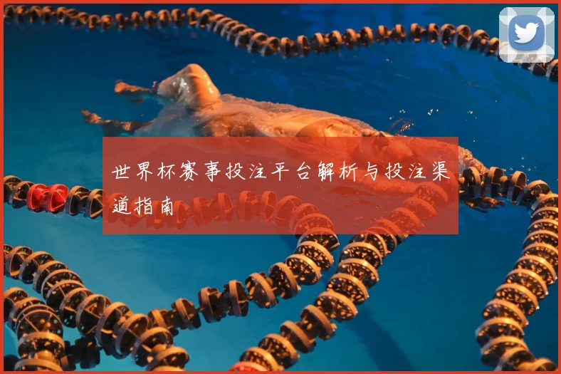世界杯赛事投注平台解析与投注渠道指南