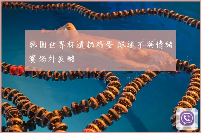 韩国世界杯遭扔鸡蛋 球迷不满情绪赛场外发酵
