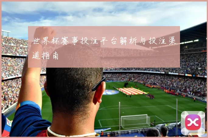 世界杯赛事投注平台解析与投注渠道指南